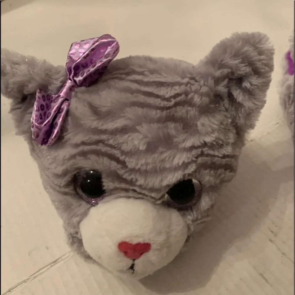 N/A adorable animal